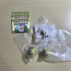 こびとづかん めじるしアクセサリー スモモノウチ シボリオオチチ マスコット