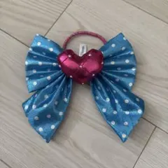 【美品】ミニー ファンダーランド パルパルーザ ヘアポニー