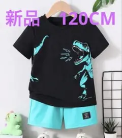 新品　キッズ　恐竜プリント カジュアルTシャツ＆ショーツセット