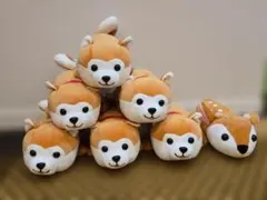 秋田犬 ハッピーくじ 6体セット 鹿