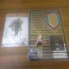 呪術廻戦 五条悟 アクリルスタンド 19種類セット