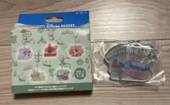 ディズニー テーマポート キーチェーン ポートディスカバリー