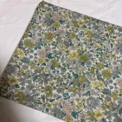 Item thumbnail for item 9684ba82-b16c-4444-b09e-5de728dd4cd0