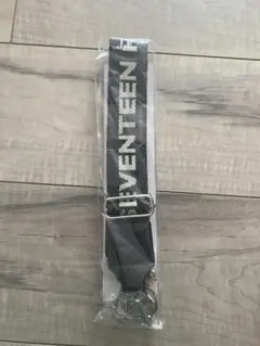 Item thumbnail for item 343295a6-ff10-4577-a9dc-2fc3016f97f2