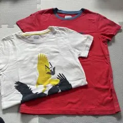 ARMANI JUNIOR Tシャツ　120/130(110) 2枚セット