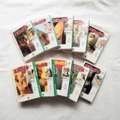 王家の紋章 細川智栄子 文庫版 20冊セット １巻〜２１巻