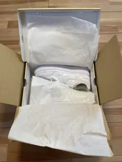 Billie Eilish × Nike Air Force 1 Low