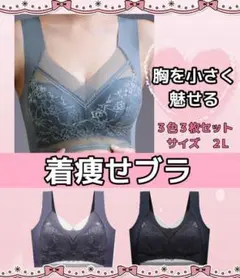 ナイトブラ 着痩せ シームレス ２L 美胸3枚セット 小さく見せる ノンワイヤー