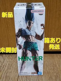 HUNTER×HUNTER ゴンさんフィギュア セット購入⭕️ HUNTER×HUNTER ゴンさんフィギュア セット購入⭕️ Amazon.co.jp