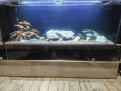 メルカリ