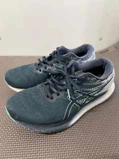 asics アシックス エボライド3 26.0cm