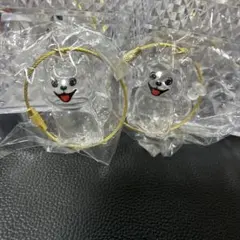 119 チワワ　 愛犬の毛を大切に可愛く収納 うちの子　けだまだま