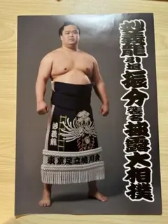 妙義龍　振分親方　断髪式　パンフレット　1枚