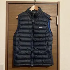 2026年最新】patagonia カラー：ネイビー系 ダウンベスト