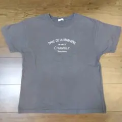 グレーTシャツ　150