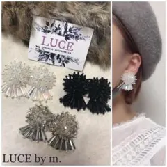 250 キラキラ ガラスビーズ 刺繍 お洒落 可愛い ピアス イヤリングのサムネイル