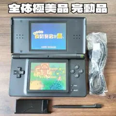 全体極美品 完動品 ニンテンドーDS Lite ブラック 本体 新品付属品