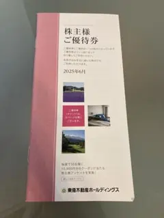 東急不動産ホールディングス 株主優待券冊子 5000株以上