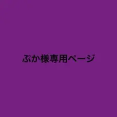 専用ページ【購入期限6/1】