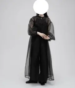 2026年最新】ペルナ オーガンジーの人気アイテム - メルカリ