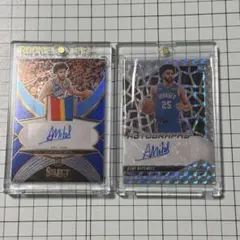 Item thumbnail for item d76222e8-efcd-4617-8f2b-a9b8de4ca0b9