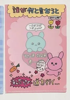 チェゴシム ミニクリアフォルダー