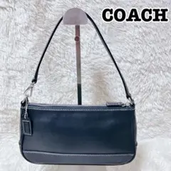 COACH ライトブルー イヤホンケース - メルカリ