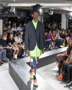 2025年最新】COMME des GARCONS HOMME PLUS サルエルパンツの人気