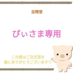 ぴぃさま専用