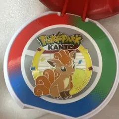 ポケパーク ピンズ ピンバッジ ロコン