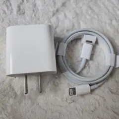 Apple 純正品　USB電源　アダプターとライトニング