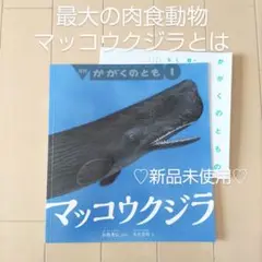マッコウクジラ 福音館書店 絵本 かがくのとも 哺乳類 肉食動物 受験 夏休み
