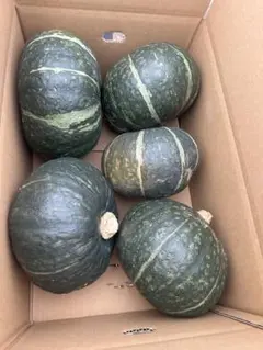 北海道産味平カボチャ 20kg - メルカリ
