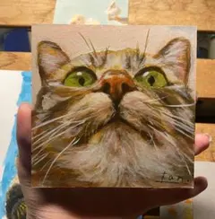 だいはくりょく