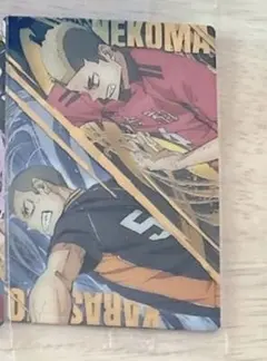 ハイキュー　ウエハース　ゴミ捨て場の決戦　田中龍之介　山本猛虎