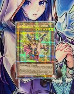 遊戯王 魔術師の弟子 ブラックマジシャン・ガール 25th クオシク