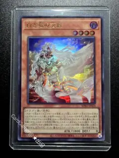 白き竜の落胤 遊戯王 ウルトラ 1枚 - メルカリ