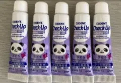 にゃん太郎様専用　DENT.チェックアップ こども ぶどう 10点