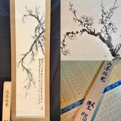 『X6346』沢梅隝 水墨梅画讃 絹本 澤三石 安永元年生まれ 掛軸 X6346』沢梅隝 水墨梅画讃 絹本 澤三石 安永元年生まれ 掛軸 - メルカリ