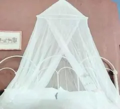 Item thumbnail for item 9a04b875-16fb-4575-89a9-efe7cbbbb276