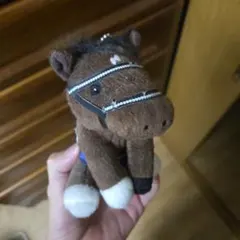 競馬 アイドルホース ディープインパクト Sサイズ