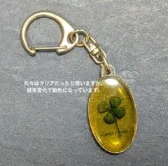 Item thumbnail for item e8168a4a-7947-4fd1-b9b6-718165410763