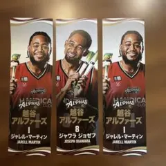 越谷アルファーズ ステッカー3枚 ジャレル・マーティン & ジャワラ・ジョセフ
