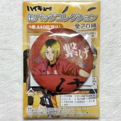 ハイキュー 横断幕 グリッター 缶バッジ 日向翔陽 12点 日向翔陽 65mm缶バッジ Ver.2.0 [ハイキュー!!] | キャラクター