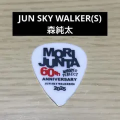 【本人使用】 JUN SKY WALKER(S) ジュンスカ 森純太 ピック