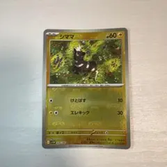 シママ　マスターボール
