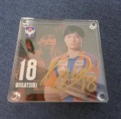 アルビレックス新潟　クリスマスガラポンL賞　サイン入りアクスタ　若月大和