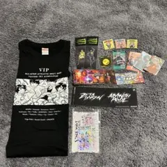 Tシャツとステッカー類セット