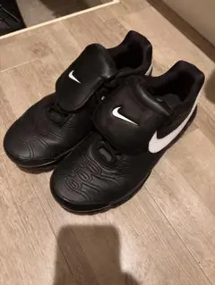 Nike Air Max Plus Tiempo 