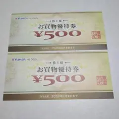 ヤマダ電機　株主優待　お買い物優待券